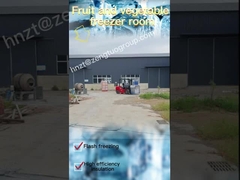 100 мм толщины панель хранения холодов для строительства хранения холодов